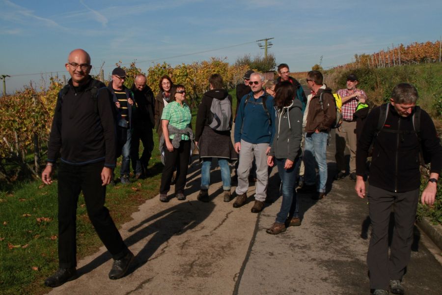 IMG 8421 Andere TSV Meimsheim